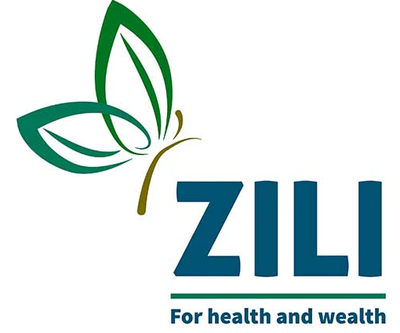 zili4u logo
